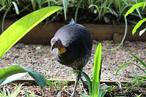 Belle's at Montville