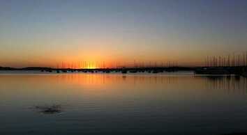 Aquarius Motel Belmont