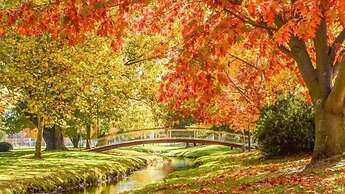 Charlesworth On The Park