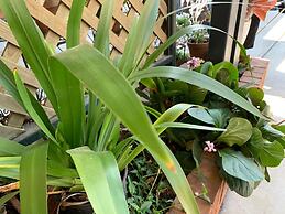 Peter Allen Motor Inn