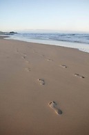 Langley Park Apartments