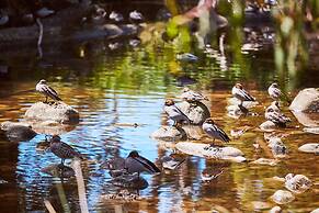 Lorne Foreshore Caravan Park