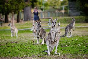YHA Grampians Eco Halls Gap
