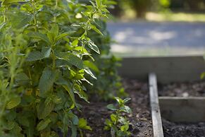 YHA Grampians Eco Halls Gap