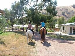 Halls on Falls Homestead
