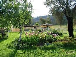 Halls on Falls Homestead