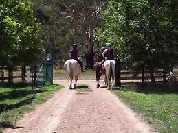 Halls on Falls Homestead