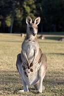 Halls on Falls Homestead