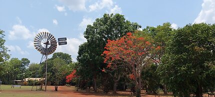 Litchfield Tourist Park - Campground