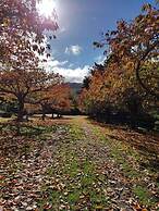 Haurata - High Country Retreat - Hostel