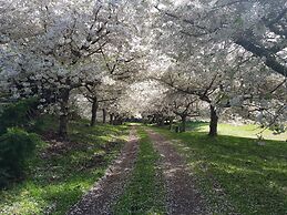 Haurata - High Country Retreat - Hostel