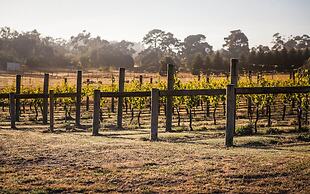 Port Campbell Parkview Motel & Apartments