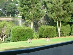 Bluewater Apartments Merimbula