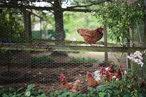 Braeside Mt Macedon Country Retreat & Bed & Breakfast