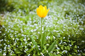 Braeside Mt Macedon Country Retreat & Bed & Breakfast