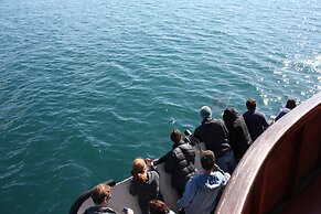 The Rock Adventure Cruise