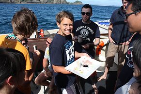 The Rock Adventure Cruise