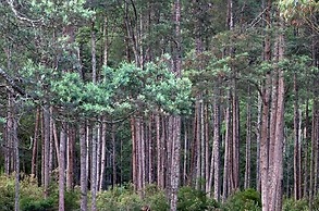 Glenbrook House and Cottage