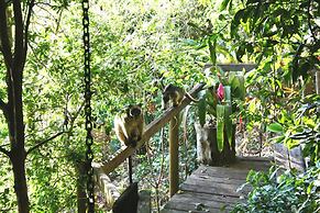 Mt Quincan Crater Retreat