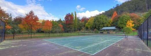 Chestnut Tree Holiday Apartments