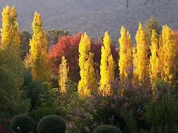 Chestnut Tree Holiday Apartments