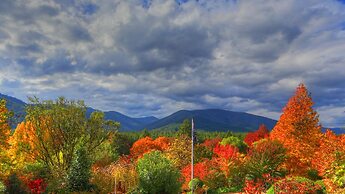 Chestnut Tree Holiday Apartments