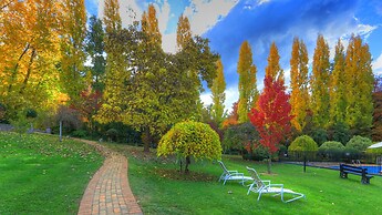 Chestnut Tree Holiday Apartments