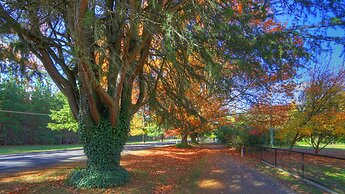 Chestnut Tree Holiday Apartments