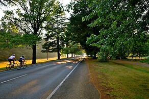 Chestnut Tree Holiday Apartments