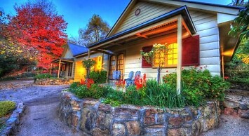 Chestnut Tree Holiday Apartments