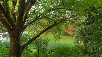 Chestnut Tree Holiday Apartments