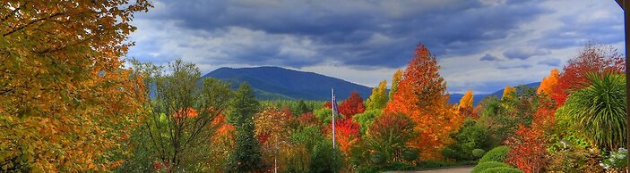 Chestnut Tree Holiday Apartments