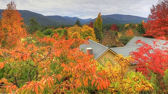 Chestnut Tree Holiday Apartments