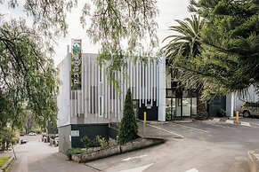 Areca Launceston