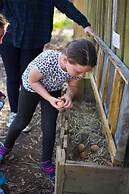 Freshwater Creek Cottages and Farm Stay