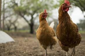 Freshwater Creek Cottages and Farm Stay