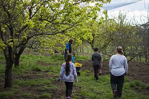 Freshwater Creek Cottages and Farm Stay