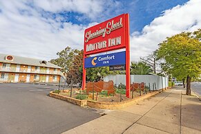 Comfort Inn Shearing Shed