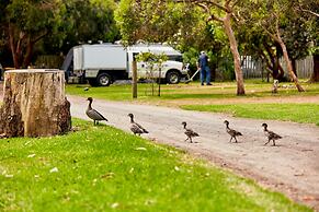 Kennett River Family Caravan Park