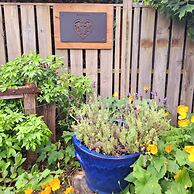 Blue Ridge Studios and Bed & Breakfast