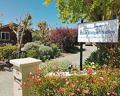 Blue Ridge Studios and Bed & Breakfast