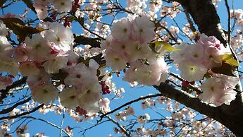 Bowral Road Bed and Breakfast