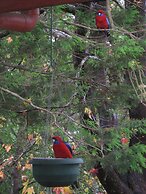 Bowral Road Bed and Breakfast