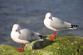 Sierra Beachfront Motel