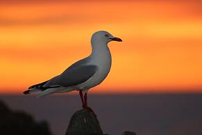 Sierra Beachfront Motel