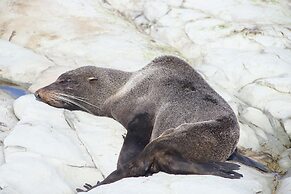 Sierra Beachfront Motel