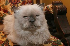 Whale Motor Inn and Restaurant