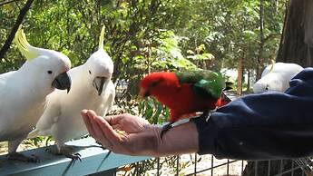 Lorne Bush House Cottages & Eco Retreats