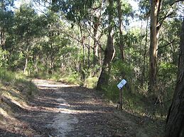 Lorne Bush House Cottages & Eco Retreats