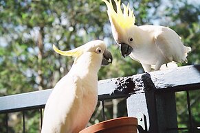 Lorne Bush House Cottages & Eco Retreats